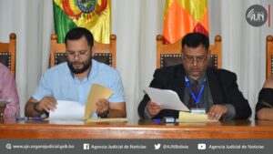En el TDJ de Pando se conformó la mesa departamental para la restitución del derecho a la familia de niñas, niños y adolescentes sin cuidado familiar.
