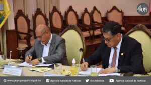 Comisión nacional sesiona para aprobar un reglamento y la instalación de mesas departamentales para prevención de violencia sexual contra NNA, feminicidio e infanticidio y seguimiento a casos en estos delitos