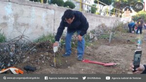 Sala Civil del TSJ realiza acto de reforestación plantando 100 arbolitos